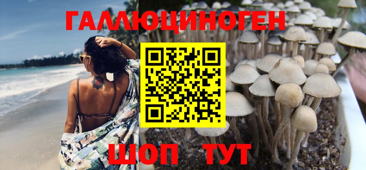Галлюциногенные грибы GOLDEN TEACHER Рязань